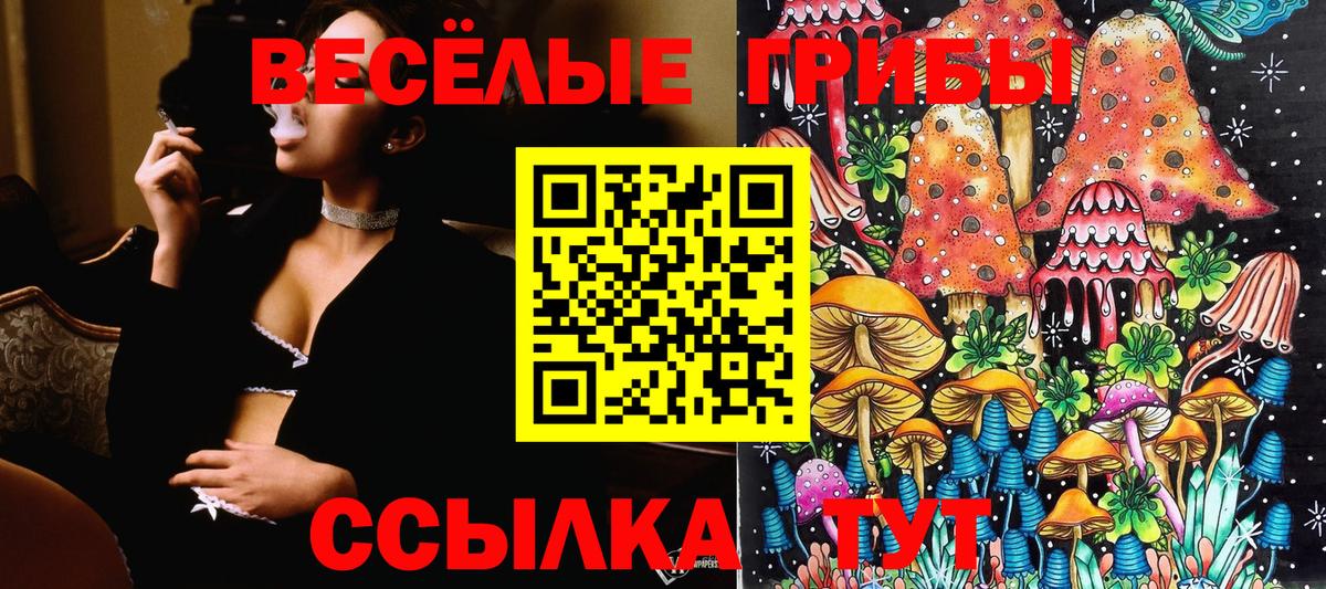 Галлюциногенные грибы Psilocybine cubensis Альметьевск