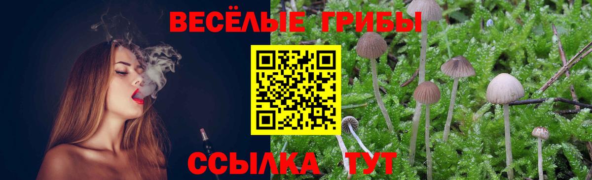Псилоцибиновые грибы GOLDEN TEACHER  Вход с VPN  Альметьевск  Галлюциногенные грибы GOLDEN TEACHER 